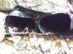 Multiple Culvert Crossing, Wilton, Maine
