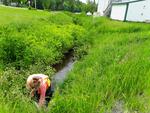 Culvert Crossing, Mount Vernon, Maine