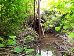 Culvert Crossing, Mount Vernon, Maine