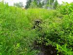Culvert Crossing, Mount Vernon, Maine