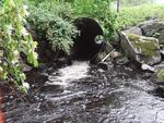 Culvert Crossing, Wayne, Maine