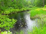 Culvert Crossing, Wayne, Maine