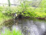 Culvert Crossing, Wayne, Maine