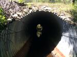 Culvert Crossing, Livermore, Maine