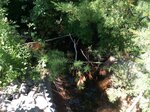 Culvert Crossing, Livermore, Maine