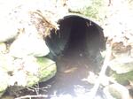 Culvert Crossing, Bethel, Maine