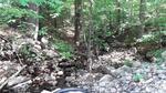 Culvert Crossing, Leeds, Maine