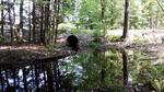 Culvert Crossing, Leeds, Maine
