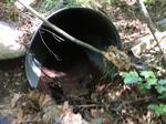 Culvert Crossing, Greene, Maine