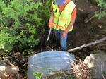 Culvert Crossing, Greene, Maine