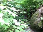 Culvert Crossing, Greenwood, Maine