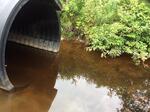 Culvert Crossing, Jay, Maine