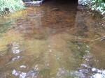 Culvert Crossing, Jay, Maine