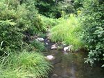 Multiple Culvert Crossing, Jay, Maine