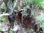 Multiple Culvert Crossing, Fayette, Maine