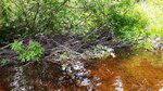 Removed Crossing, Holeb Twp, Maine