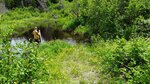 Removed Crossing, Holeb Twp, Maine