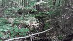 Multiple Culvert Crossing, Vienna, Maine