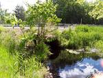 Culvert Crossing, Livermore Falls, Maine