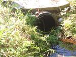 Culvert Crossing, Woodstock, Maine