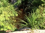 Culvert Crossing, Woodstock, Maine