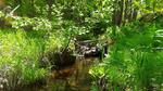 Culvert Crossing, Greene, Maine