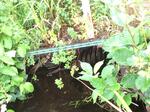 Culvert Crossing, Mason Twp, Maine