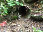 Culvert Crossing, Mason Twp, Maine
