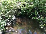 Culvert Crossing, Livermore, Maine