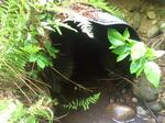 Culvert Crossing, Auburn, Maine