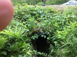 Culvert Crossing, Auburn, Maine
