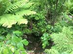Culvert Crossing, Auburn, Maine