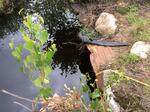 Culvert Crossing, Bethel, Maine