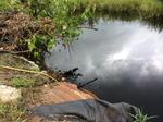 Culvert Crossing, Bethel, Maine