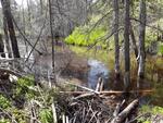 Culvert Crossing, Monmouth, Maine