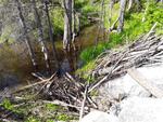 Culvert Crossing, Monmouth, Maine