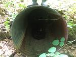 Culvert Crossing, Greene, Maine