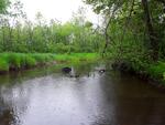 Culvert Crossing, Greene, Maine
