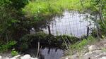 Culvert Crossing, Chesterville, Maine