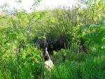 Culvert Crossing, Monmouth, Maine