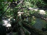 Multiple Culvert Crossing, Livermore, Maine