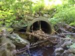Culvert Crossing, Livermore, Maine