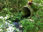 Culvert Crossing, Livermore, Maine