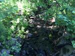 Culvert Crossing, Livermore, Maine