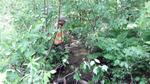 Multiple Culvert Crossing, Vienna, Maine