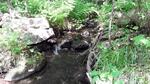 Multiple Culvert Crossing, Vienna, Maine