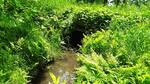 Culvert Crossing, Vienna, Maine