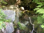 Culvert Crossing, Batchelders Grant Twp, Maine
