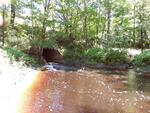 Culvert Crossing, Livermore Falls, Maine