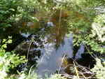 Multiple Culvert Crossing, Greenland Brook, Danforth, Maine